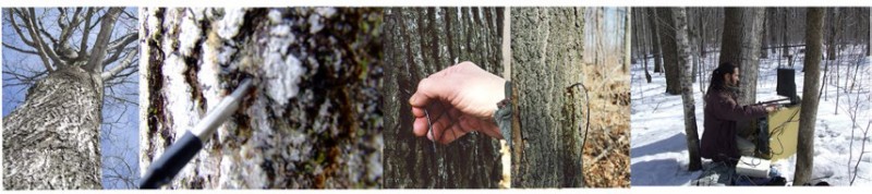 Sieste sonore Eac Les Roches